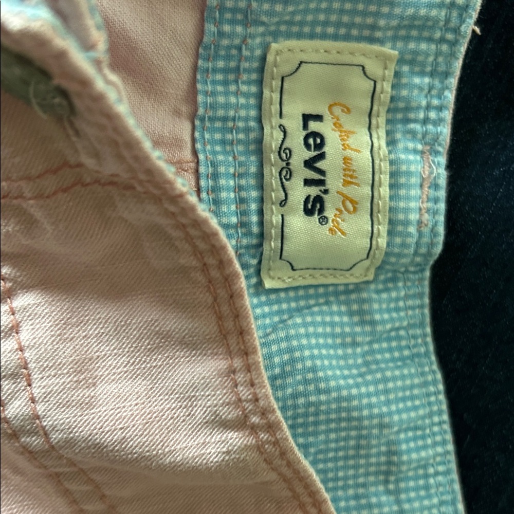 Levi's Pink and Blue Plaid Shirt